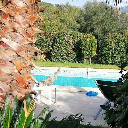 Studio 5Min Plage Agosta Albitreccia Экстерьер фото